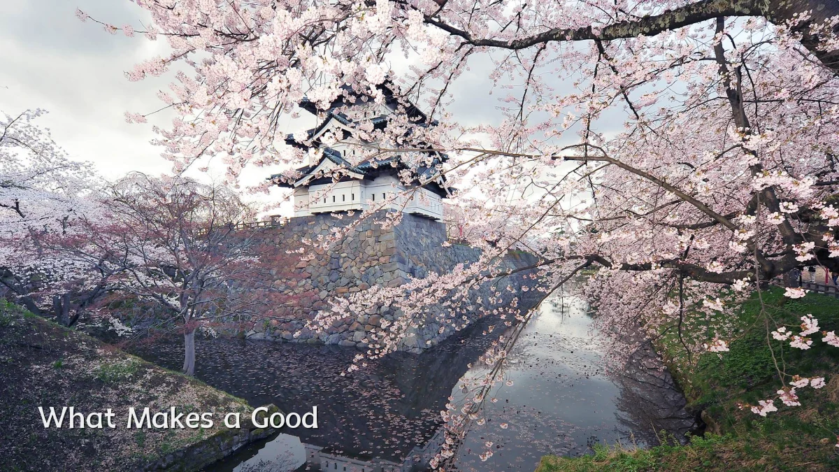 What Makes a Good