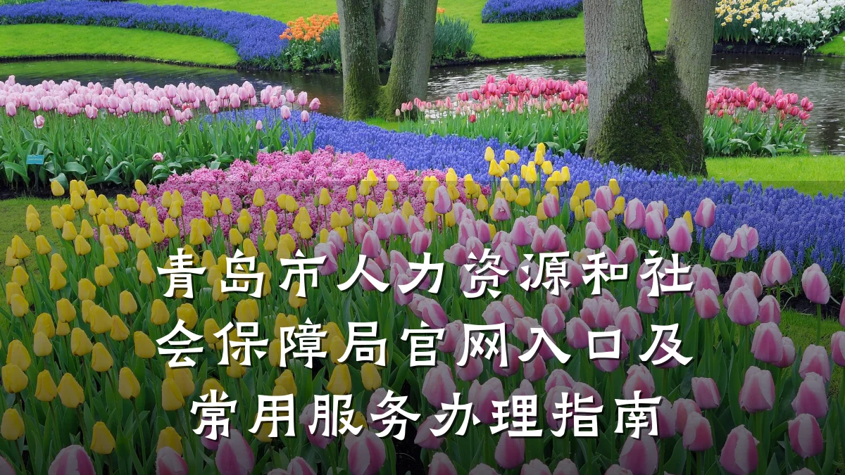 青岛市人力资源和社会保障局官网入口及常用服务办理指南