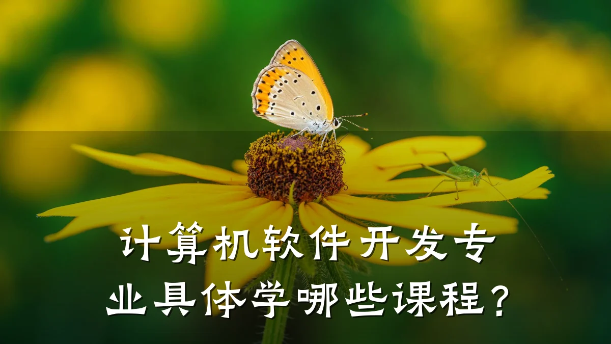 计算机软件开发专业具体学哪些课程?