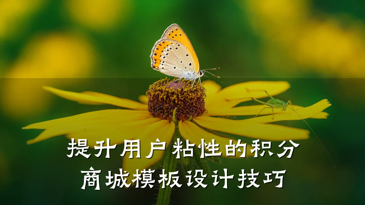 提升用户粘性的积分商城模板设计技巧