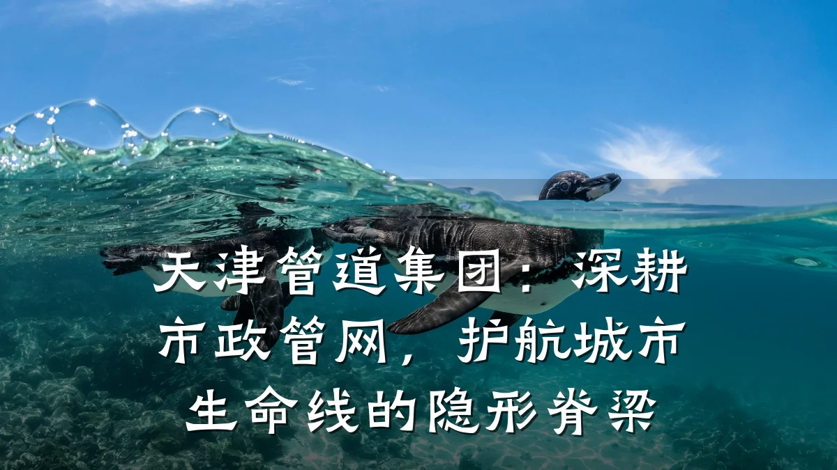 天津管道集团:深耕市政管网,护航城市生命线的隐形脊梁