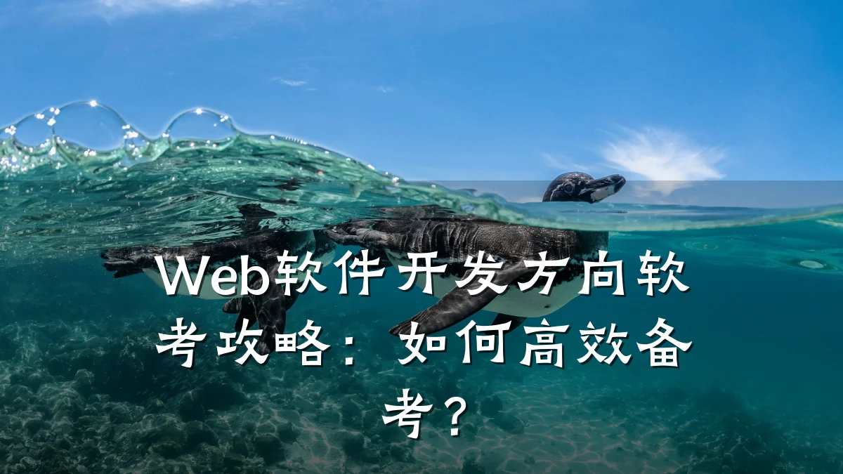 Web软件开发方向软考攻略:如何高效备考?