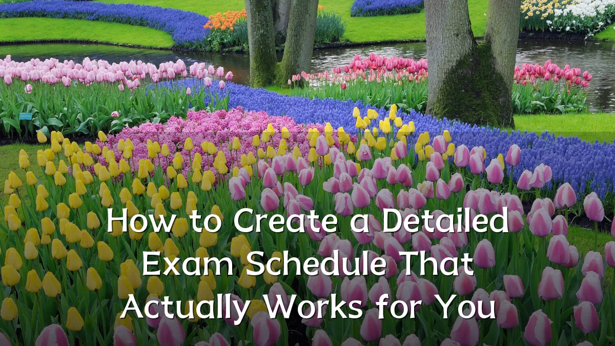 How to Create a Detailed Exam Schedule That Actually Works for You