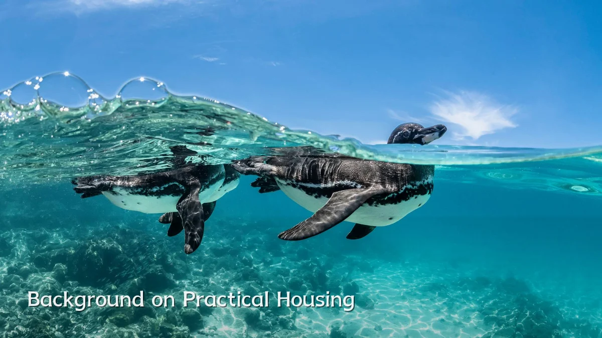 Background on Practical Housing