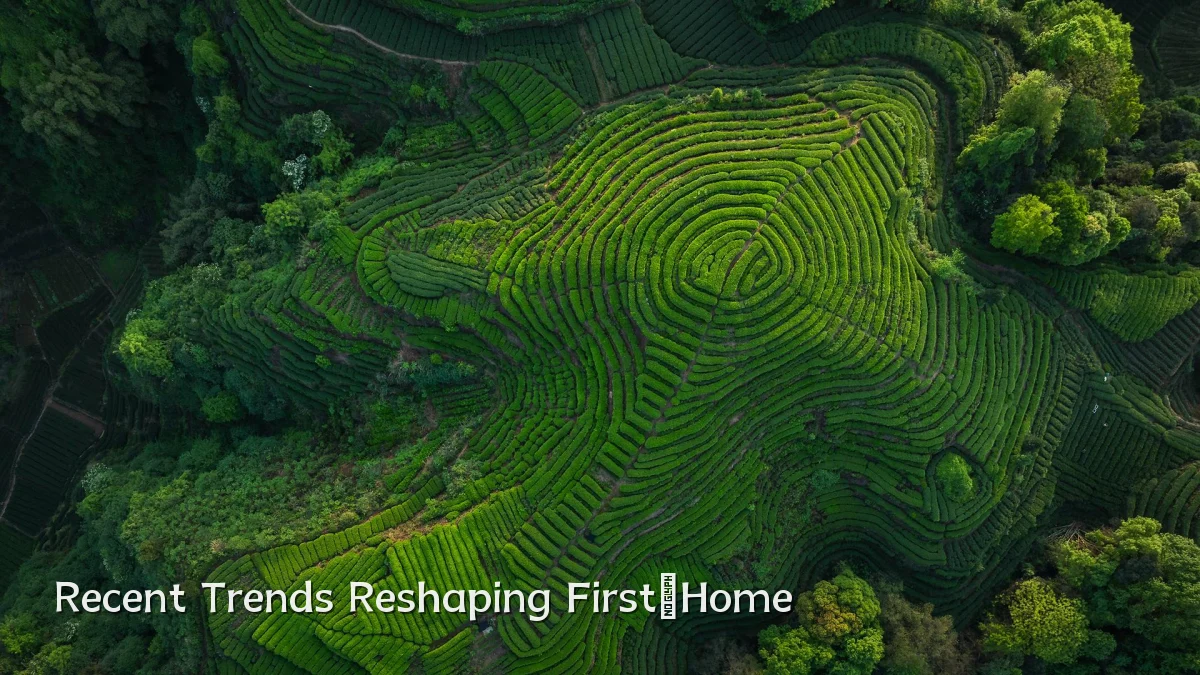 Recent Trends Reshaping First‑Home