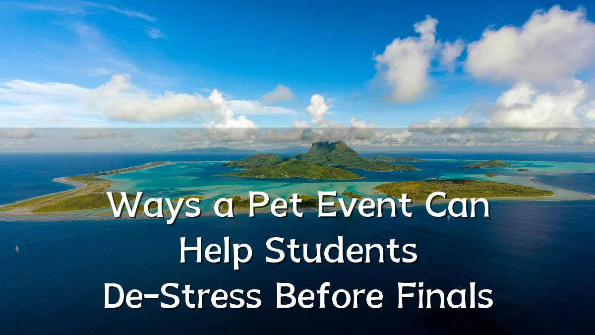 Ways a Pet Event Can Help Students De-Stress Before Finals