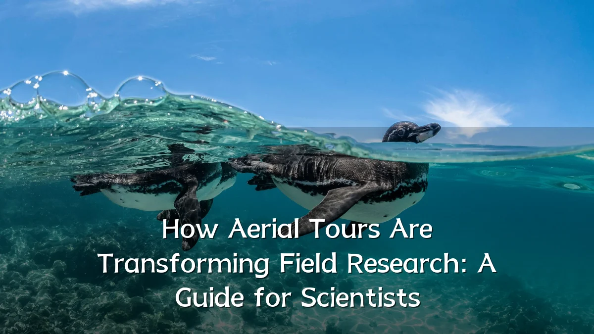 How Aerial Tours Are Transforming Field Research: A Guide for Scientists
