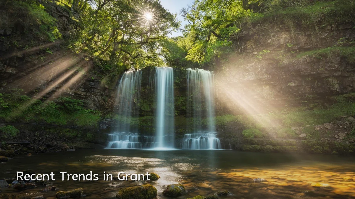 Recent Trends in Grant