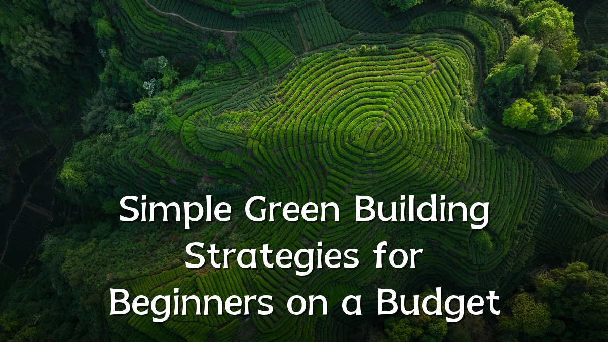 Simple Green Building Strategies for Beginners on a Budget