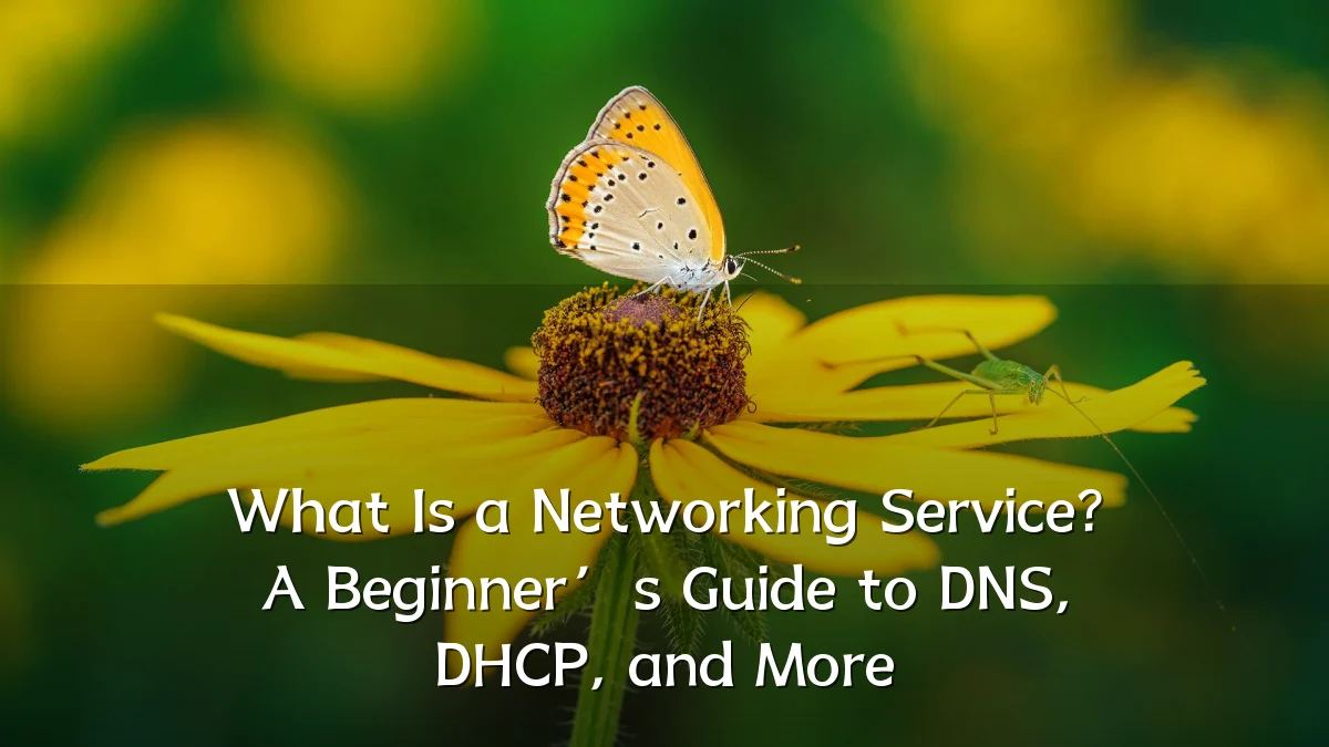 What Is a Networking Service? A Beginner’s Guide to DNS, DHCP, and More