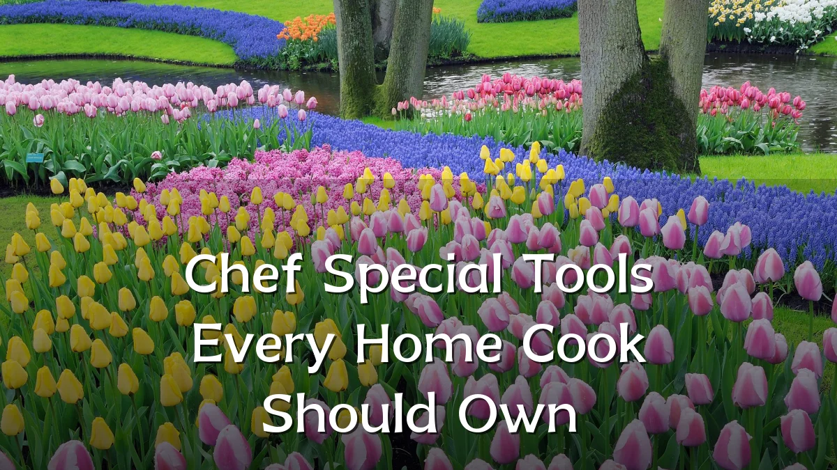 Chef Special Tools Every Home Cook Should Own