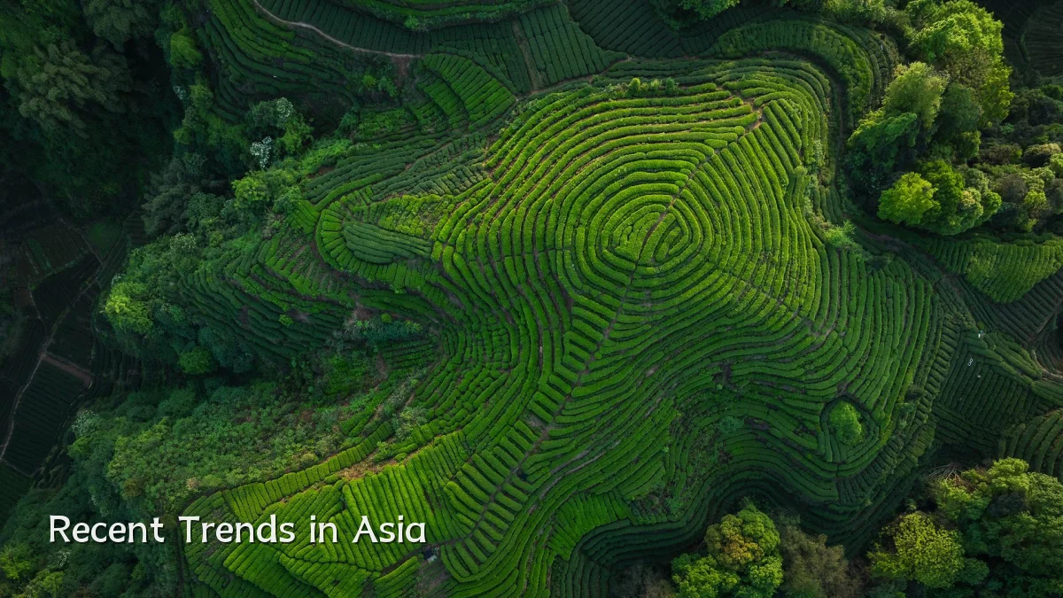 Recent Trends in Asia
