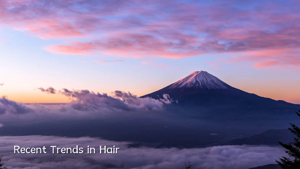 Recent Trends in Hair