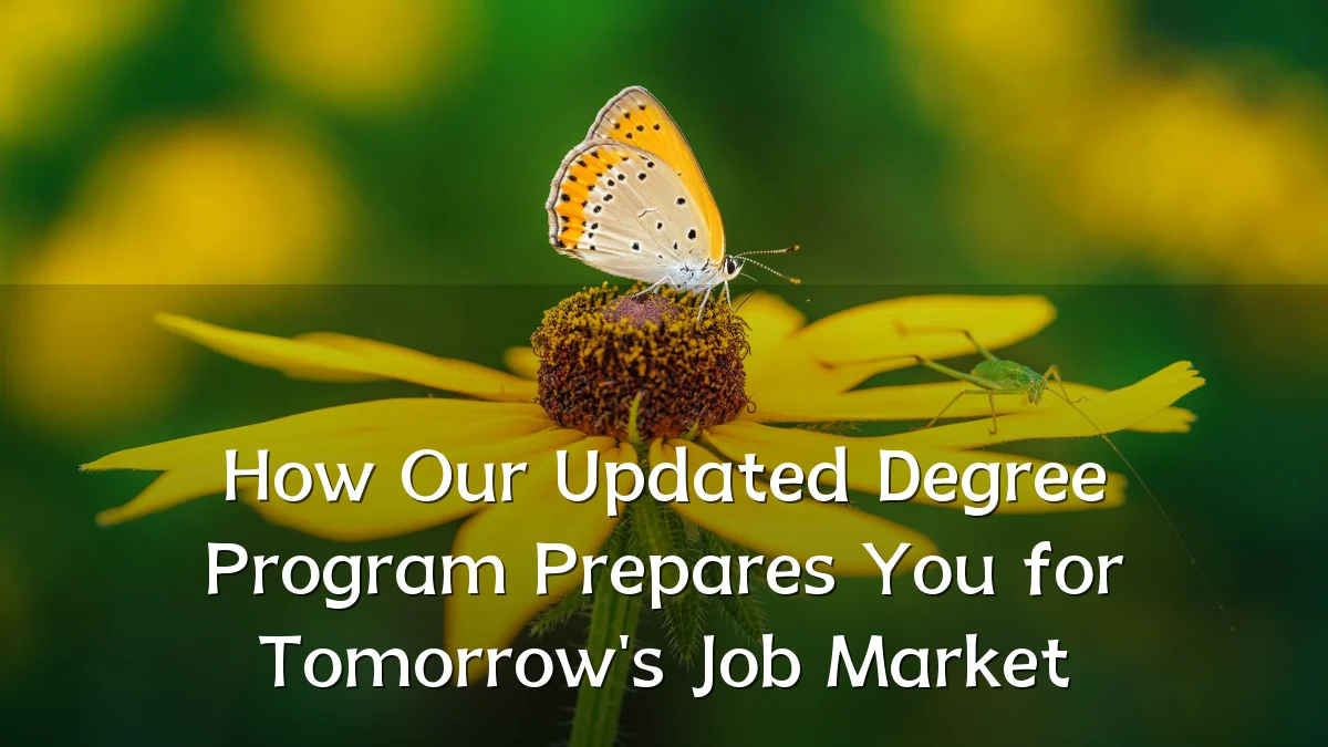 How Our Updated Degree Program Prepares You for Tomorrow's Job Market