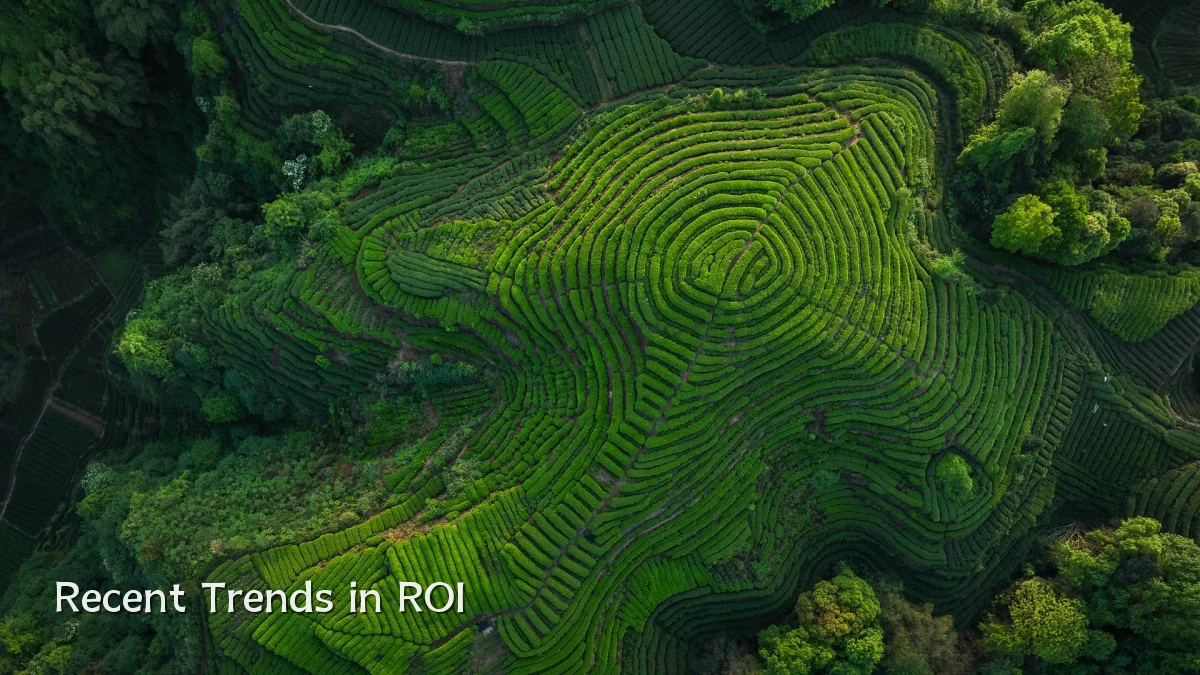 Recent Trends in ROI