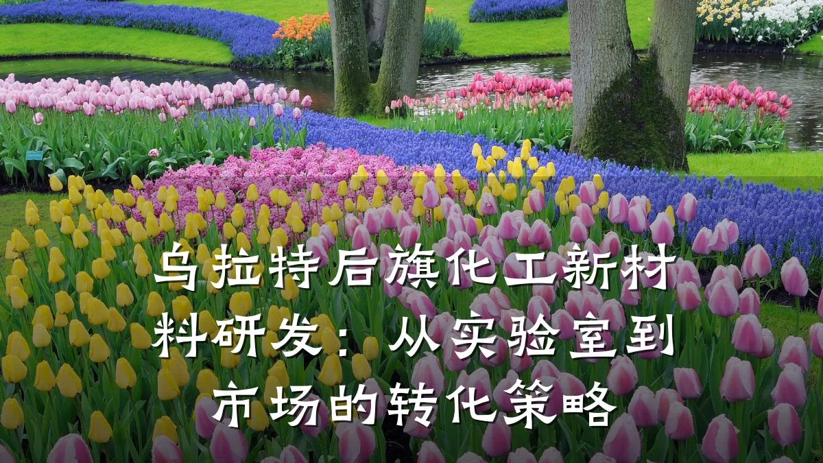 乌拉特后旗化工新材料研发:从实验室到市场的转化策略