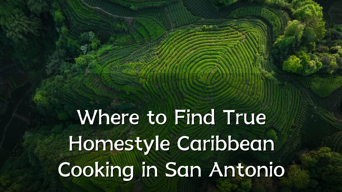 Where to Find True Homestyle Caribbean Cooking in San Antonio